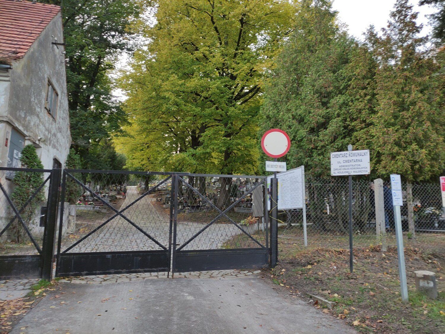 To miejsce spoczynku ambasadora II RP. Najciekawsze nagrobki cmentarza na Sobięcinie w Wałbrzychu. Zobacz zdjęcia!