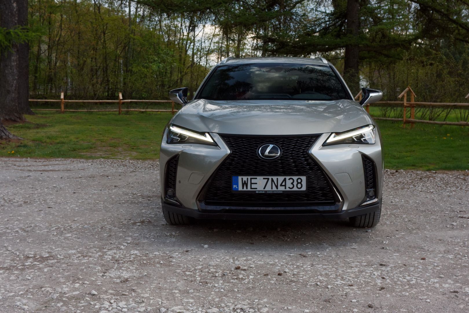 Lexus UX 250h F Sport