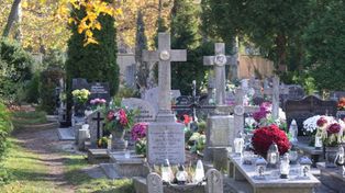 Czym jest Dzień Zaduszny i czym różni się od Wszystkich Świętych?