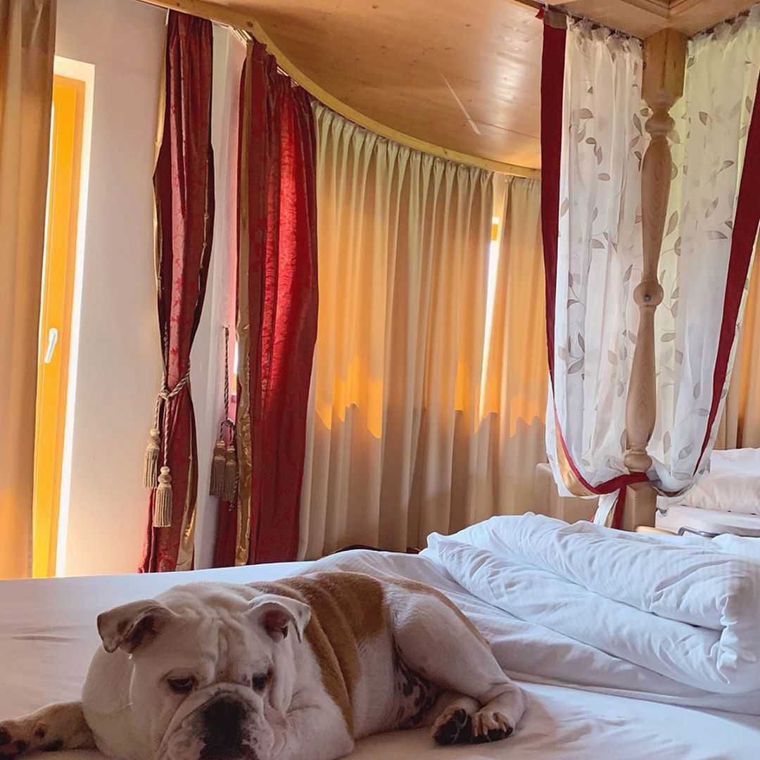 Małgorzata Rozenek pokazała swoje łóżko z pupilem