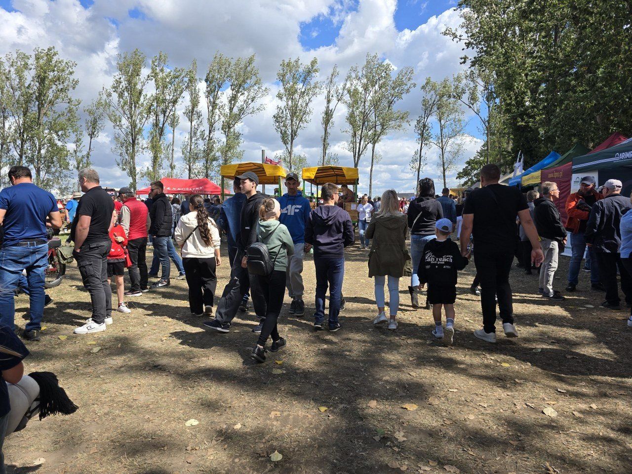 W drugim dniu Ogólnopolskiego Festiwalu Starych Ciągników i Maszyn Rolniczych w Wilkowicach pojawiły się tłumy zwiedzających