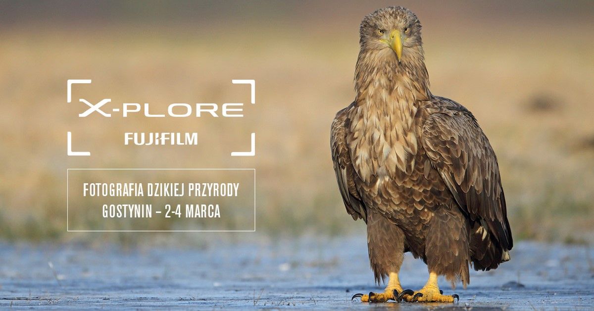 Fujifilm zaprasza na warsztaty fotografii przyrodniczej 5