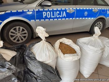 Przesyłki pełne nielegalnego tytoniu. W paczkach była prawie tona kontrabandy