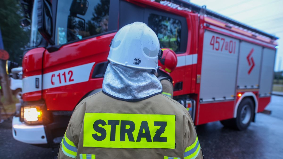 PAP / Michał Meissner