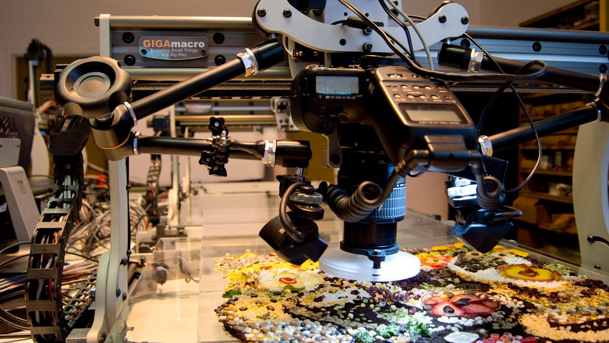 Pierwsze terapikselowe zdjęcie makro to prawdziwa uczta dla oka 1