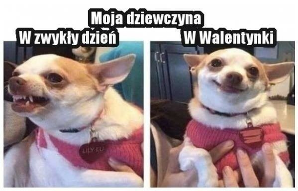 Najlepsze memy na Walentynki 