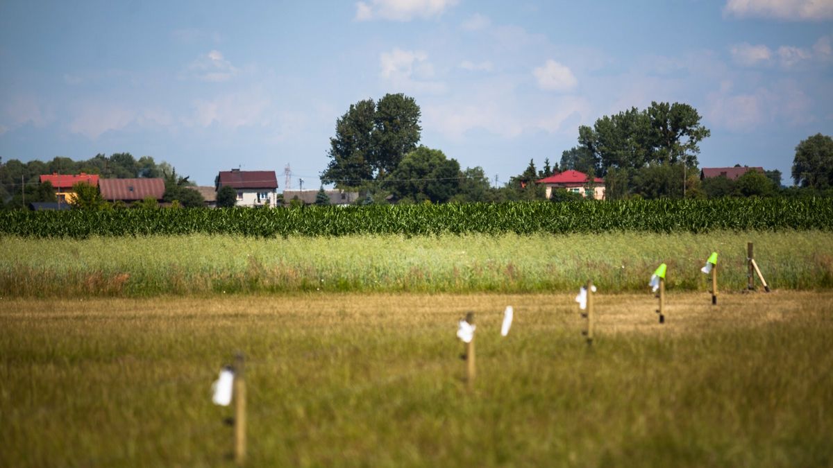 Geodeci prowadzą prace terenowe pod budowę CPK