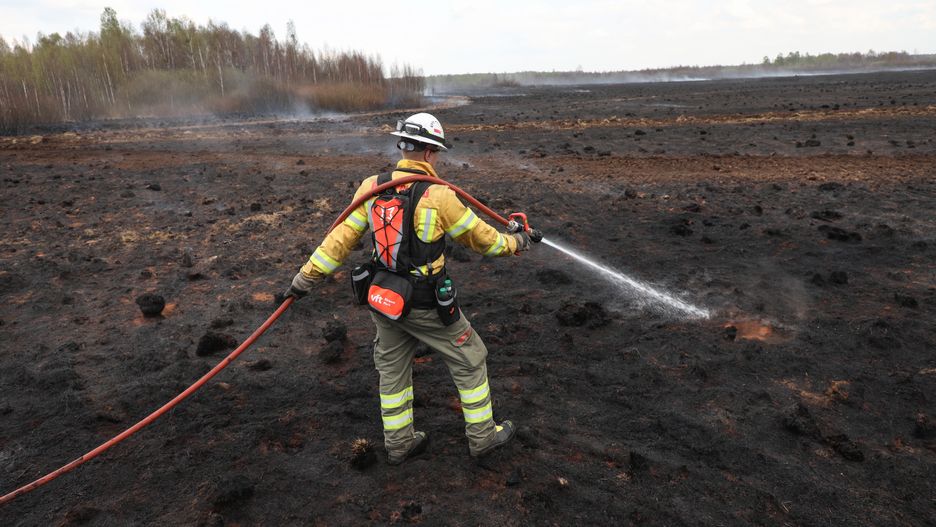 Trwa dogaszanie pożaru w parku narodowym