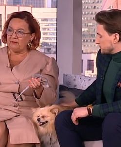 Izabela Zeiske z "Googlebox" stworzyła rodzinę zastępczą dla czterech chłopców