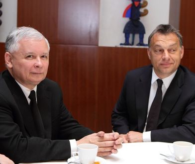 Wnioski z wyborów. Warszawa to nie Budapeszt, a Polska to nie Węgry