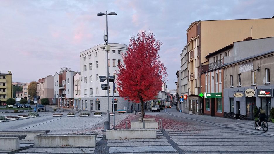 Wybory samorządowe 2024.