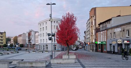 Wybory samorządowe 2024 Rybnik. Lista kandydatów na prezydenta miasta