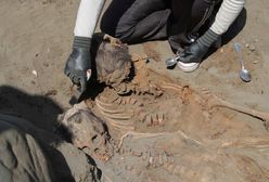 W Peru odkryto szczątki ponad 70 dzieci. Były złożone w ofierze