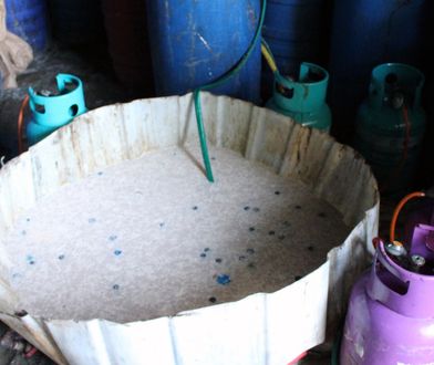 Służby na tropie bimbrowni. Wykryły tysiące litrów nielegalnego alkoholu