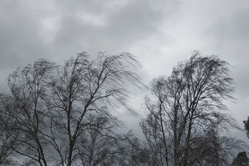 Konin: IMGW ostrzega. W niedzielę wieczorem może silnie wiać