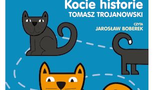 Kocie historie