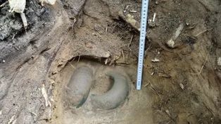 Znalezisko z gdańskiego lasu. Kolejne ozdoby z epoki żelaza