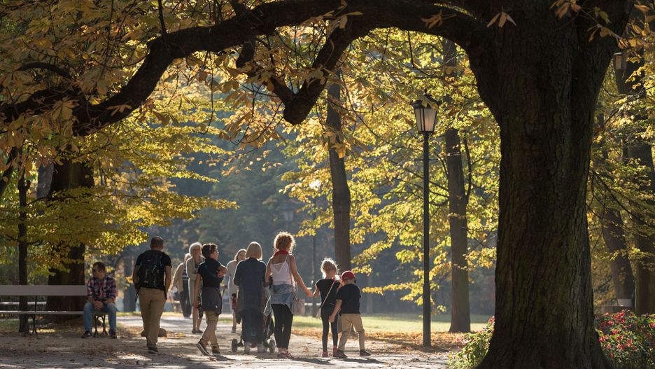 Warszawa. W czwartek prognozowane są opady deszczu