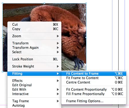 Issuu.com - jak stworzyć własną prezentację za pomocą Adobe InDesign? (cz. II) 7
