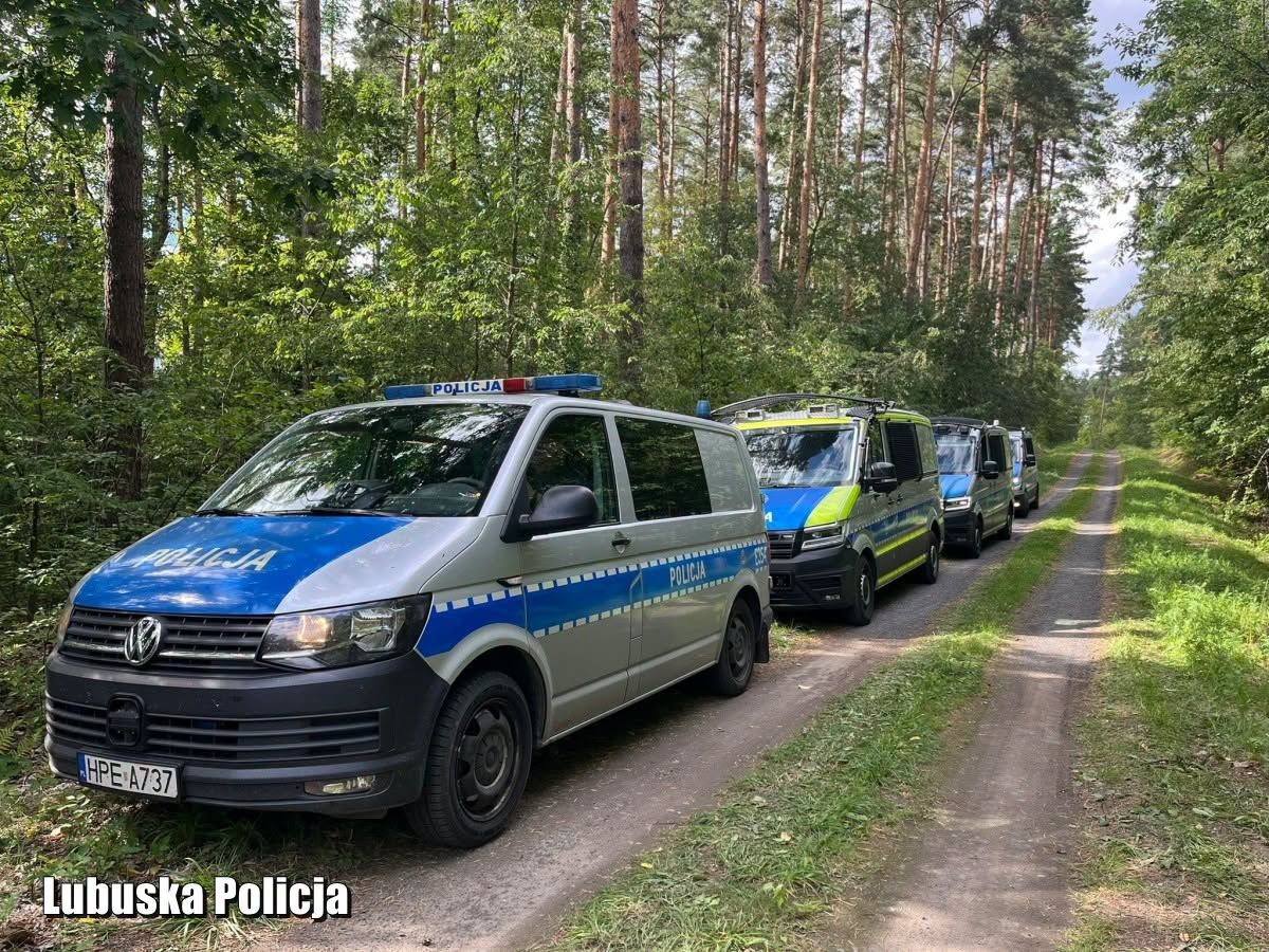 Poszukiwania Witolda Płóciennika