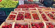 Tak rozpoznasz polskie truskawki. Nie daj się oszukać nieuczciwym sprzedawcom