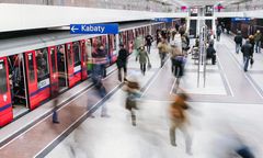 Pies w tunelu metra. Potężne utrudnienia na linii M1