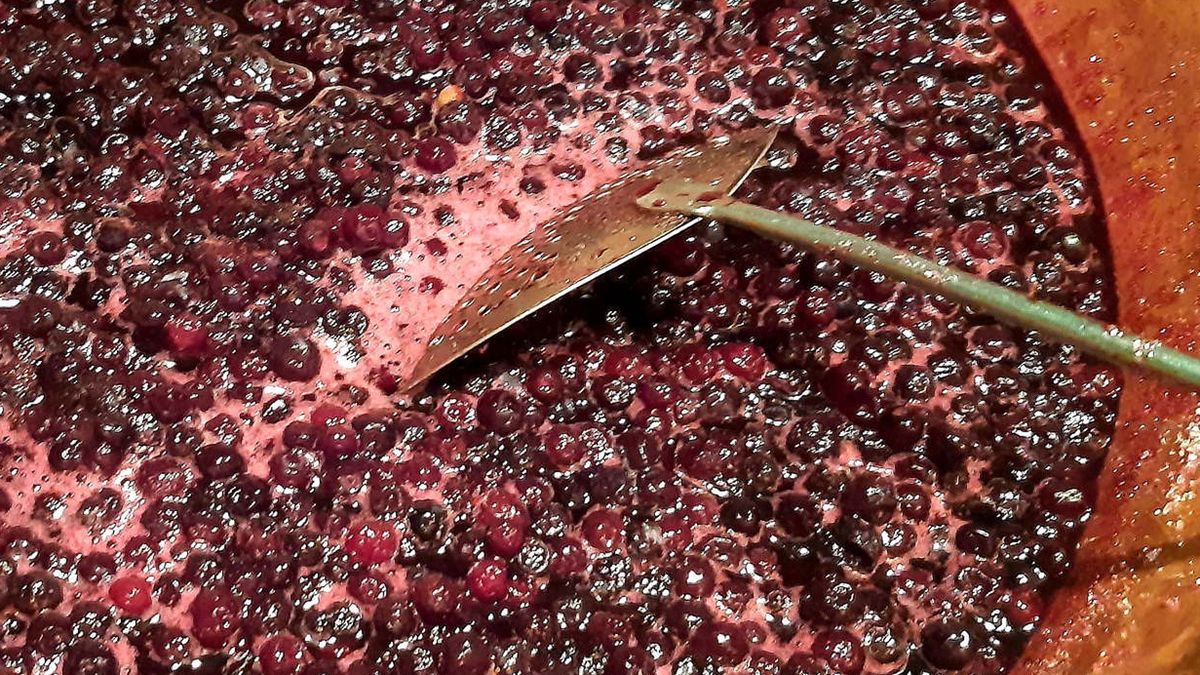 Winogrona mogą być lekarstwem na problemy żylne