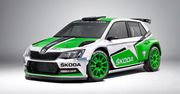 Barwy fabryczne i plany zespołu Škoda Motorsport