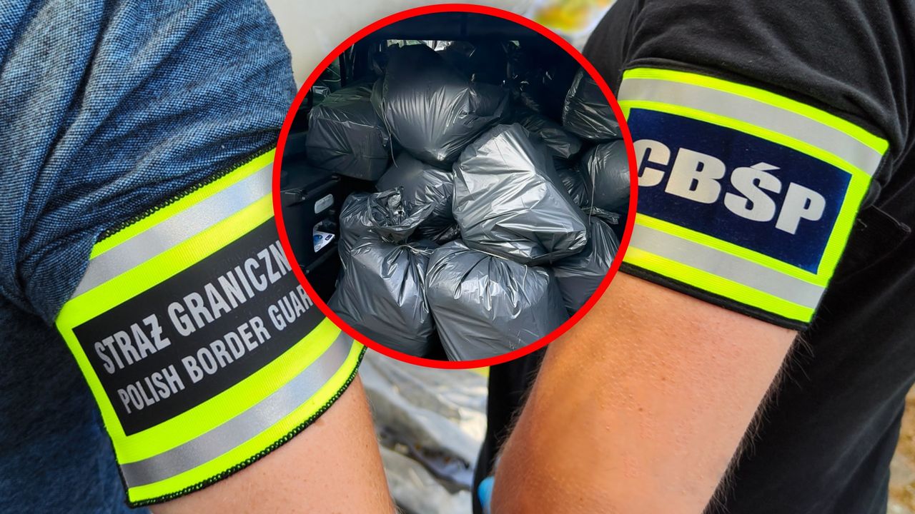 Ogromna skala odkrycia. Oto co znaleziono w magazynie w Szczecinie