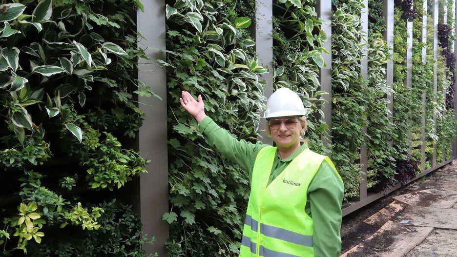 Agnieszka Stolarczyk, dyrektor radomskiego &#34;Medyka&#34; przy sadzonej zielonej ścianie.