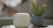 Google zapowiada Nest Mini, Nest WiFi i Nest WiFi Point. Gigant połączył router z inteligentnym głośnikiem