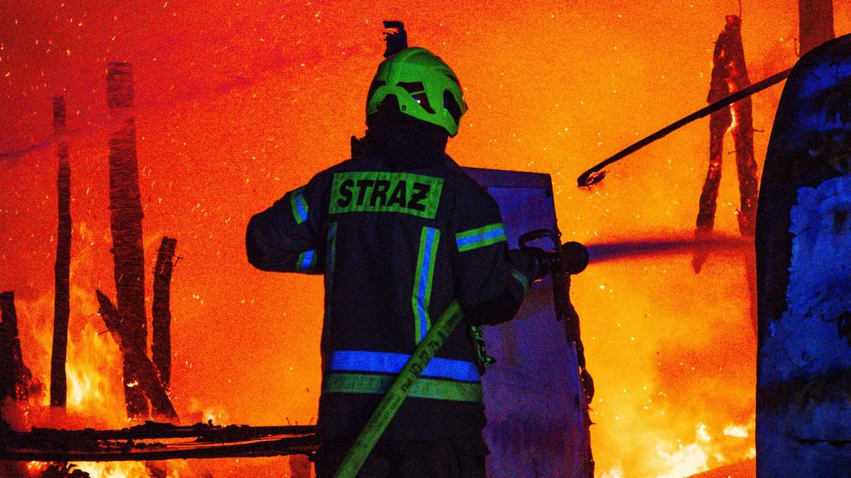 east news archiwum
Fot. NewsLubuski/East News, Zielona Gora, 25.10.2025. Pozar drewnianego budynku gospodarczego w Zielonej Gorze. Na miejscu pracowaly cztery zastepy strazy pozarnej - obiekt doszczetnie splonal.
NewsLubuski