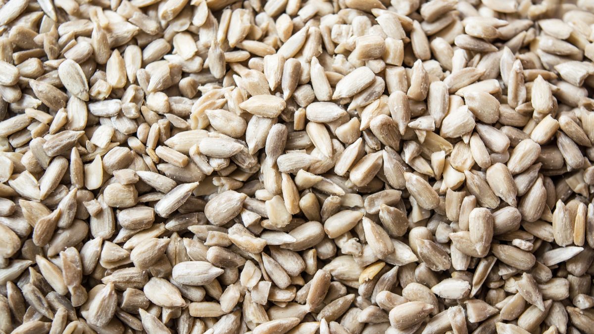 The raw seed for sunflower.Raw food seed for sunflower.yulyafesikVegetarian Food, Organic, Sunflower, Snack, Refreshment, Seed, Spoon