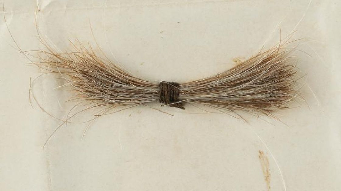 Pęk włosów Abrahama Lincolna