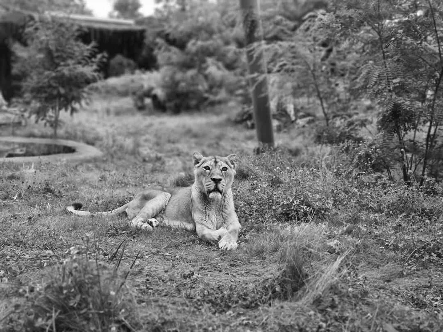 Tragedia w łódzkim zoo. "Tegoroczne walentynki były smutne"