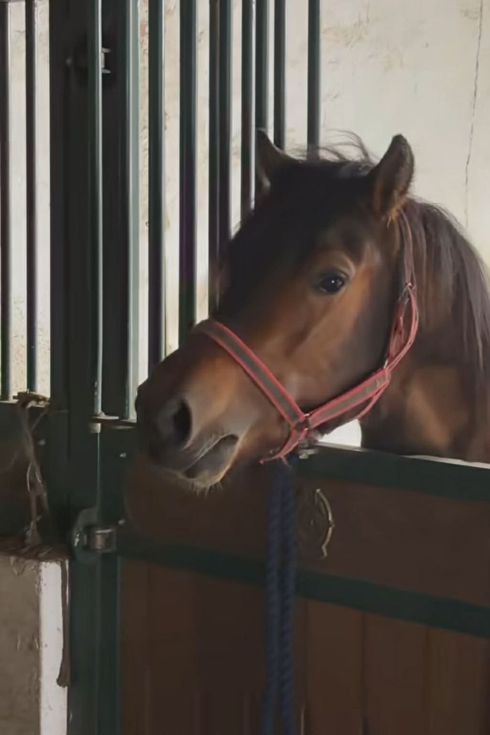 Agnieszka Woźniak-Starak