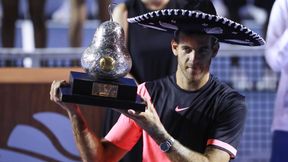 ATP Acapulco: sombrero i grucha znów nie dla Kevina Andersona. Juan Martin del Potro nowym panem Meksyku