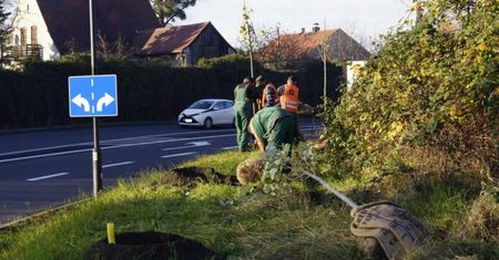 Gliwice. Miasto chce być zielone