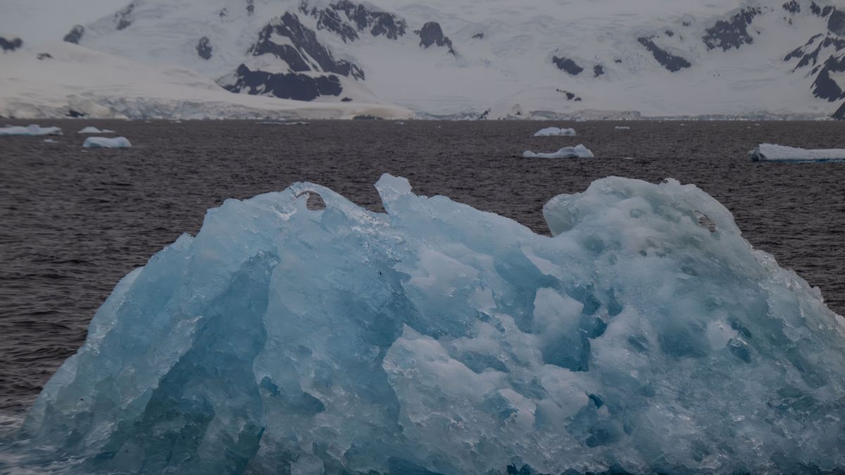 ANTARCTICA - FEBRUARY 14: A blue iceberg is seen floating near Horseshoe Island, Antarctica, on February 14, 2025, where the Turkish Scientific Research Camp is located. The melting level observed over the past two years highlights the significance of glaciers. In December 2022, the United Nations General Assembly designated March 21 as 'World Glaciers Day' and declared 2025 as the 'International Year of Glacier Preservation' to emphasize their crucial role in climate and hydrological cycles and their importance for local, national, and global economies. (Photo by ebnem Cokun/Anadolu via Getty Images)