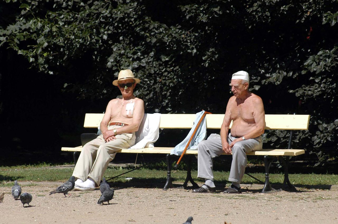 Dramatyczne dane z Niemiec. Ponad 5 tys. zgonów z powodu upałów