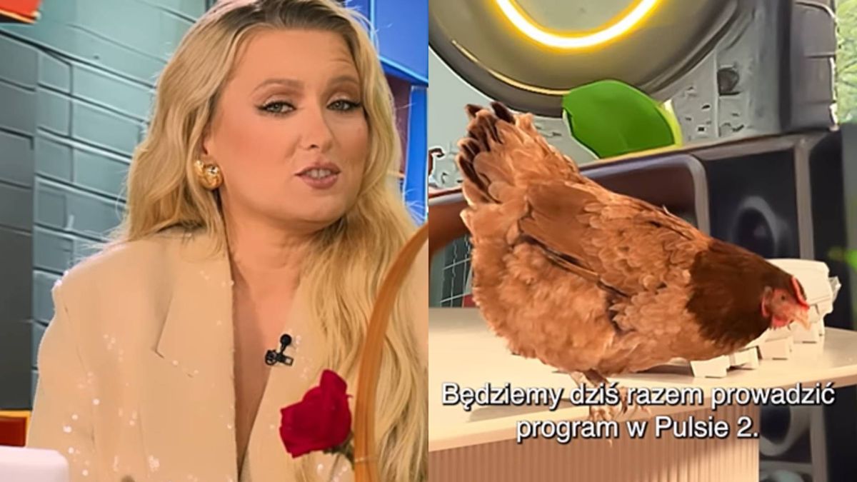 Gosia Andrzejewicz prowadzi program z kurą