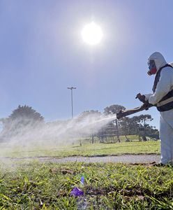 Epidemia w Argentynie. Wszyscy liczą na środki z Polski