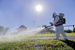 Epidemia w Argentynie. Wszyscy liczą na środki z Polski