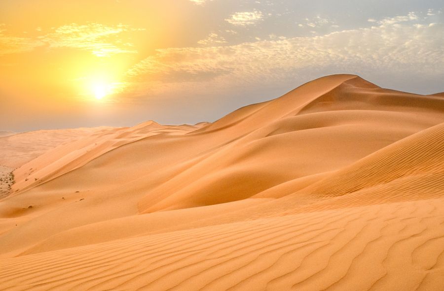 Zjednoczone Emiraty Arabskie budują gigafarmy na pustyni