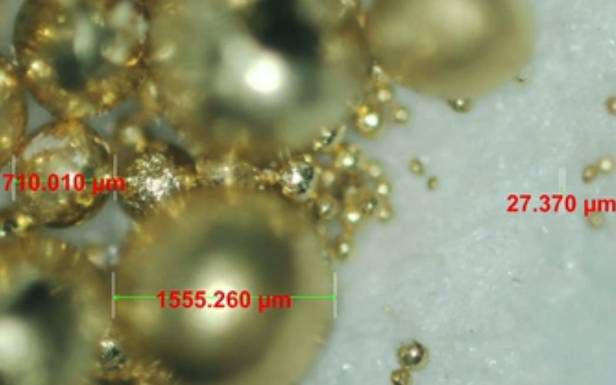 Ziarenka złota, wyprodukowane przez bakterie (Fot. Adamwbrown.net)