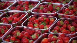 Słodkie, ale nie zawsze zdrowe. Takich truskawek lepiej nie jeść