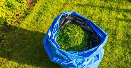 Zostaje po każdym koszeniu. W czerwcu działa jak najlepszy naturalny nawóz
