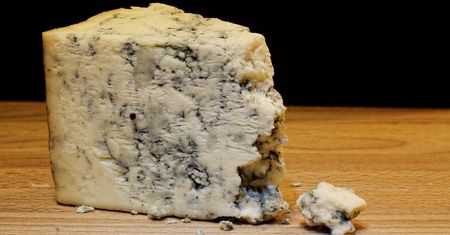 Ser Roquefort