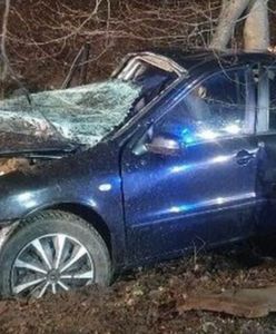 Auto z nastolatkami roztrzaskało się na drzewie. Nie żyje 16-latka