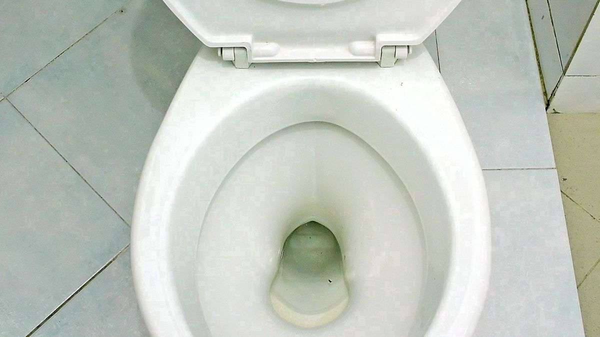 Sposób na lśniącą muszlę klozetową